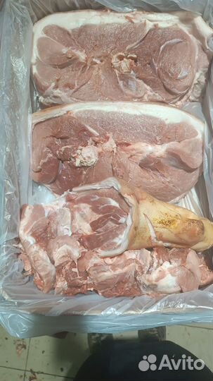 Мясо свинина домашняя