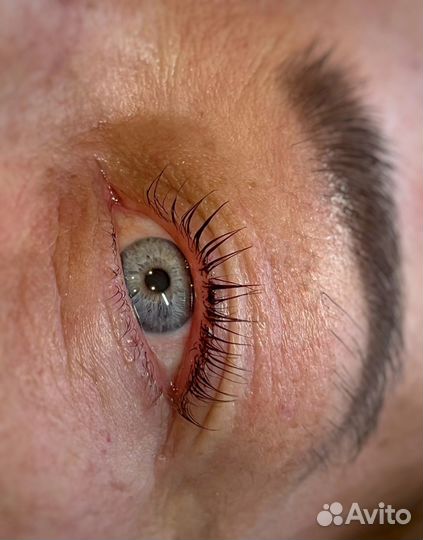 Модель на ламинирование ресниц