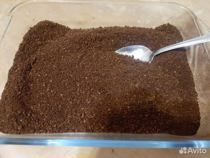 Чага березовая молотая,черная,любая