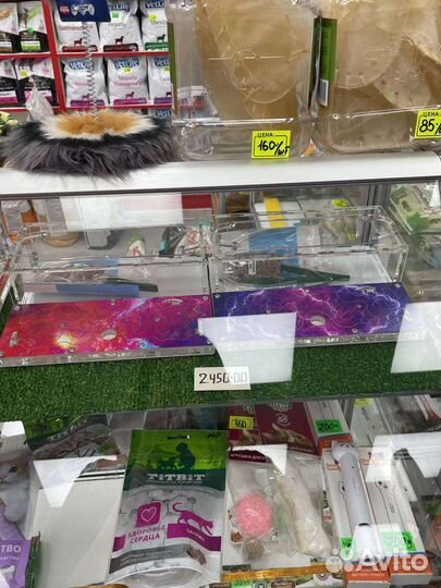 Муравьи Messor structor и фермы