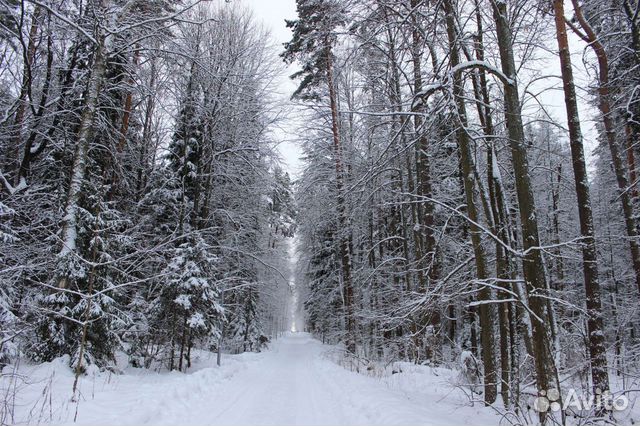 Экскурсия 