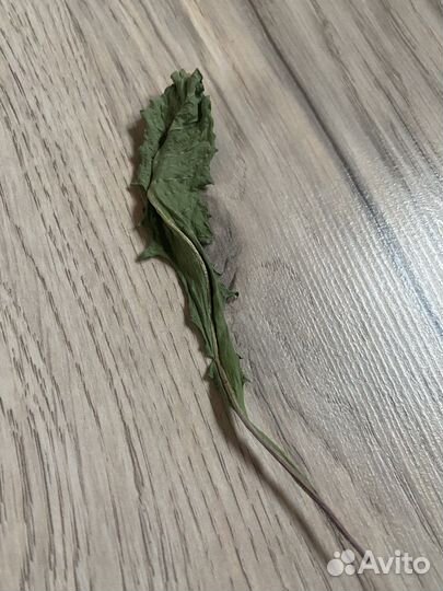 Сушеный одуванчик для хомяков/грызунов от 3-х г