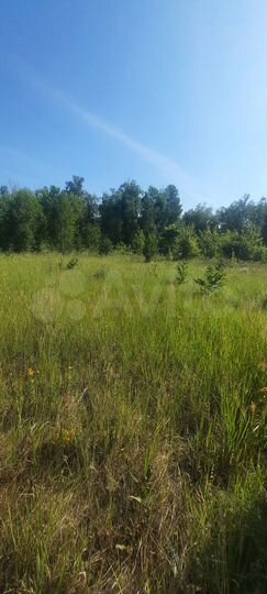 Участок 8 сот. (ИЖС)