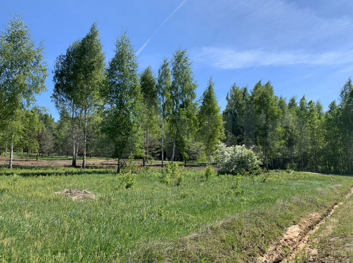 Участок 60 сот. (ИЖС)