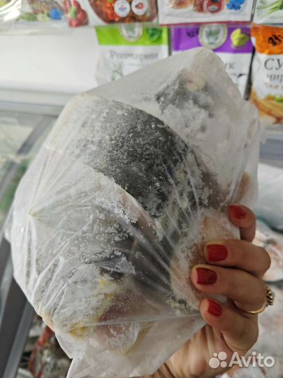 Красная рыба горбуша кета кижуч