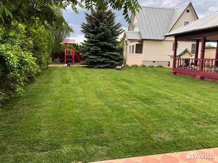 Рулонный газон напрямую от производителя