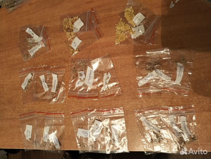 Семена различных овощных культур