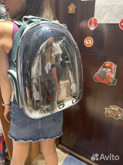 Рюкзак переноска для животных