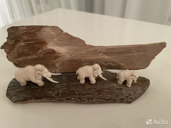 Бивень мамонта