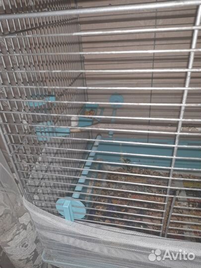 Клетка для попугая корелла