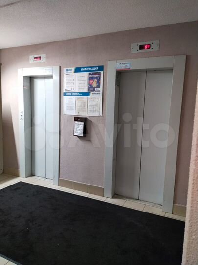 3-к. квартира, 74,5 м², 2/17 эт.