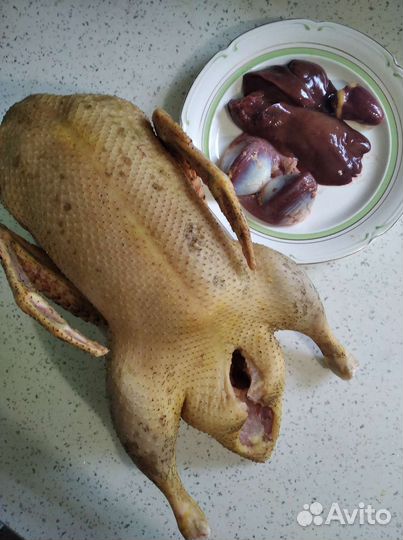 Мясо гуся, утки