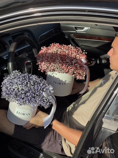 Букет из гипсофилы Доставка цветы