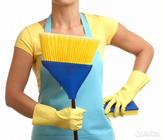 Мастер чистоты