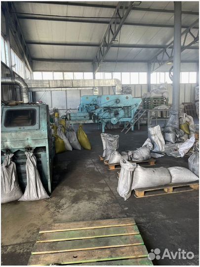 Семена Костреца Безостого опт