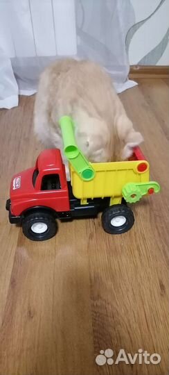 Игрушки для мальчика 3+