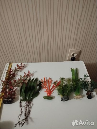 Все для аквариума