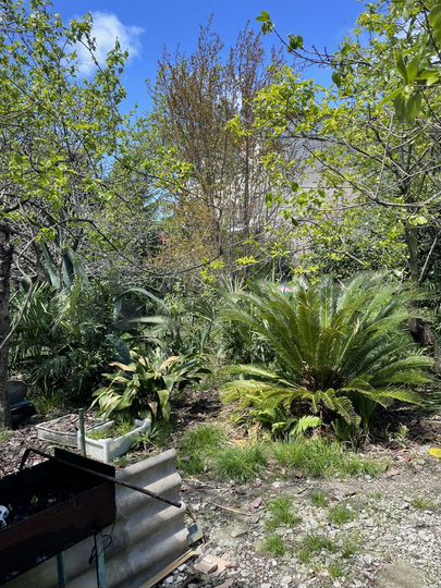 Дом 50 м² на участке 4 сот.