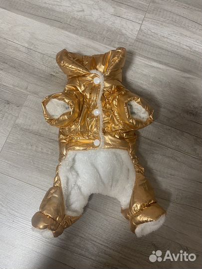 Одежда для минисобачки