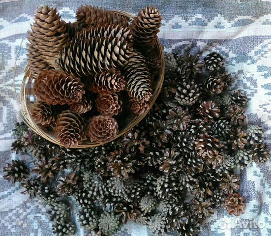 1.6sYuX7a5Ri8Y9oQqdgDz-v_8QCWafE7tn_xEK5L2TC0.k_6vuzZMttBhhosxuMYR13nN_Rgc3u57GCOV9cPVXEs