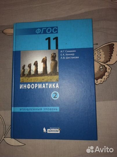 Информатика 11 класс 2 часть фгос