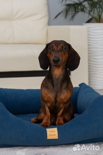 Такса вязка