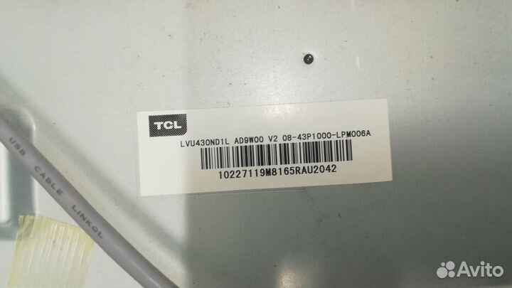TCL L43P1US