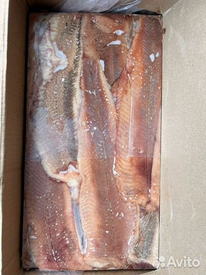 Свежая рыба