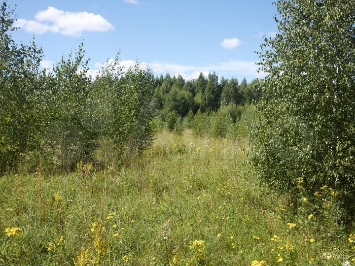 Участок 40 сот. (ИЖС)