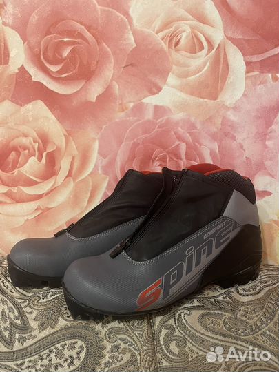 Лыжные ботинки spine