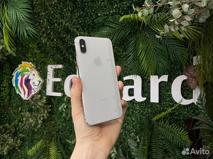 iPhone X, 256 ГБ