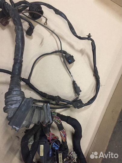 Жгут проводов двигателя Audi A4 (B7) 2005-2007