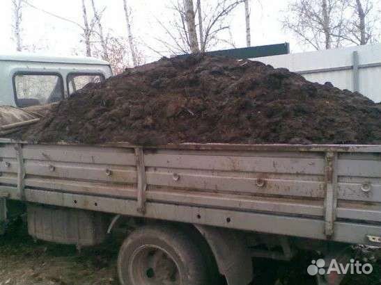 Новоз и перегной