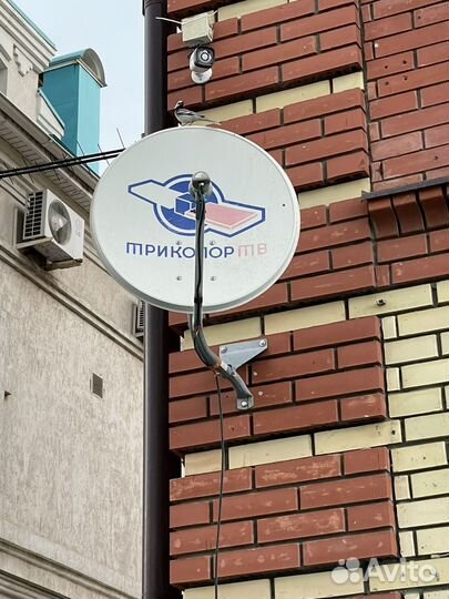 Спутниковая антенна триколор