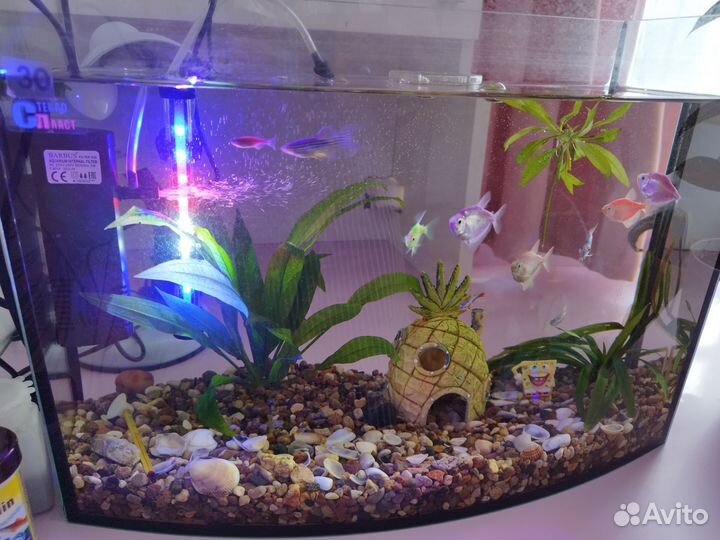 Аквариум