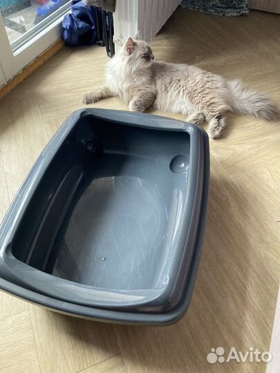 Лоток для кошек