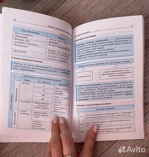 Русский язык огэ и егэ