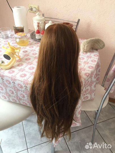 Учебная голова