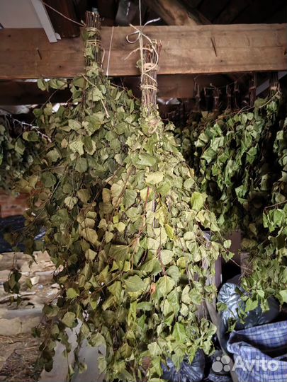 Дубовые веники для бани