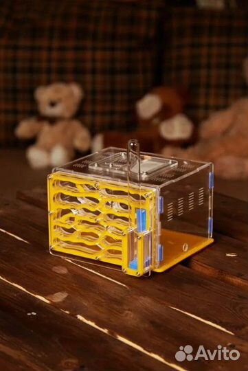 Муравьиная ферма Мегаполис