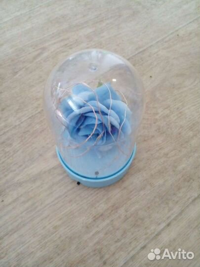 Роза в колбе