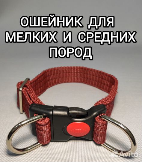 Ошейник для собак от Bax Dog