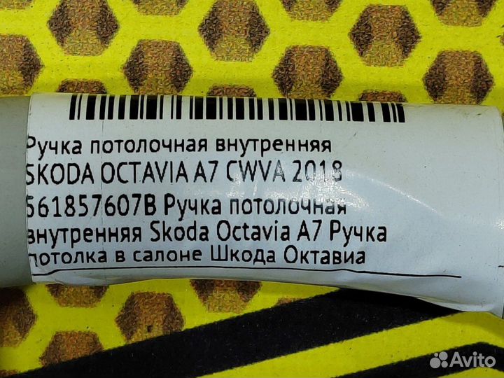 Ручка потолочная внутренняя Skoda Octavia A7 cwva