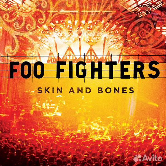 Виниловая пластинка Foo Fighters skin AND bones (1