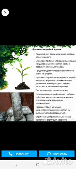 Лузга подсолнечника