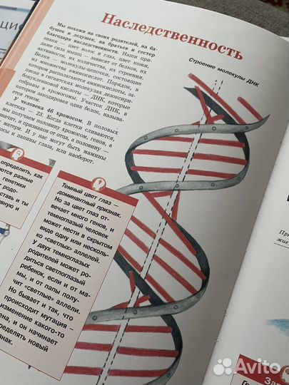 Энциклопедия школьника