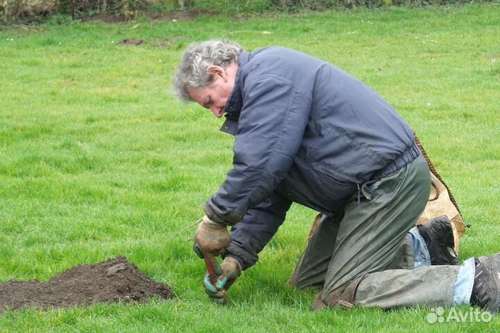 Уничтожение кротов клещей комаров ос борщевика