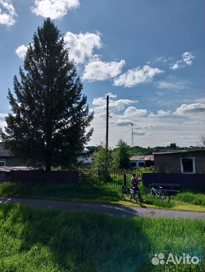 Ёлка огромная