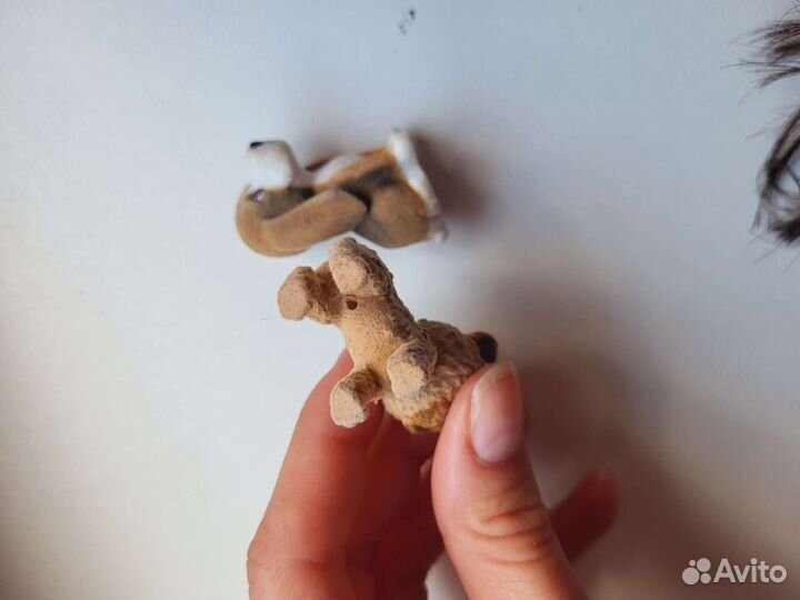 Миниатюры собак