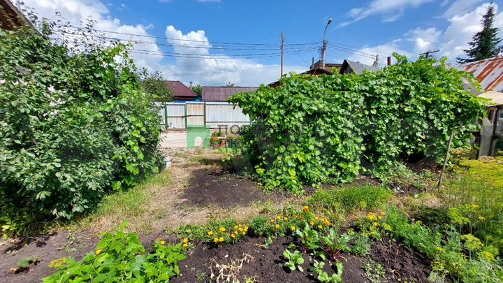 Дом 52 м² на участке 6,3 сот.